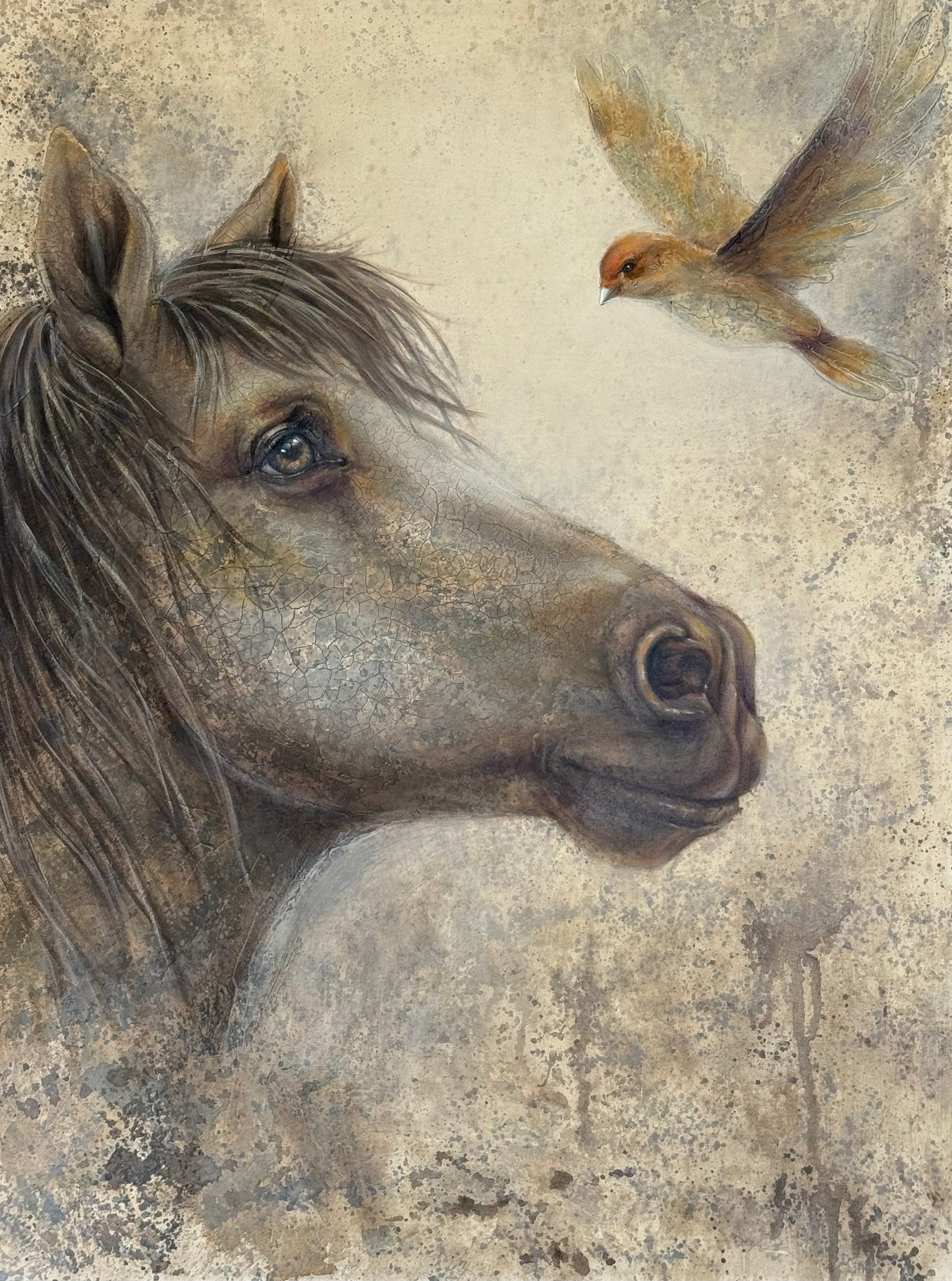 Hope’s Messenger